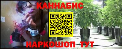прущие крисы Малгобек